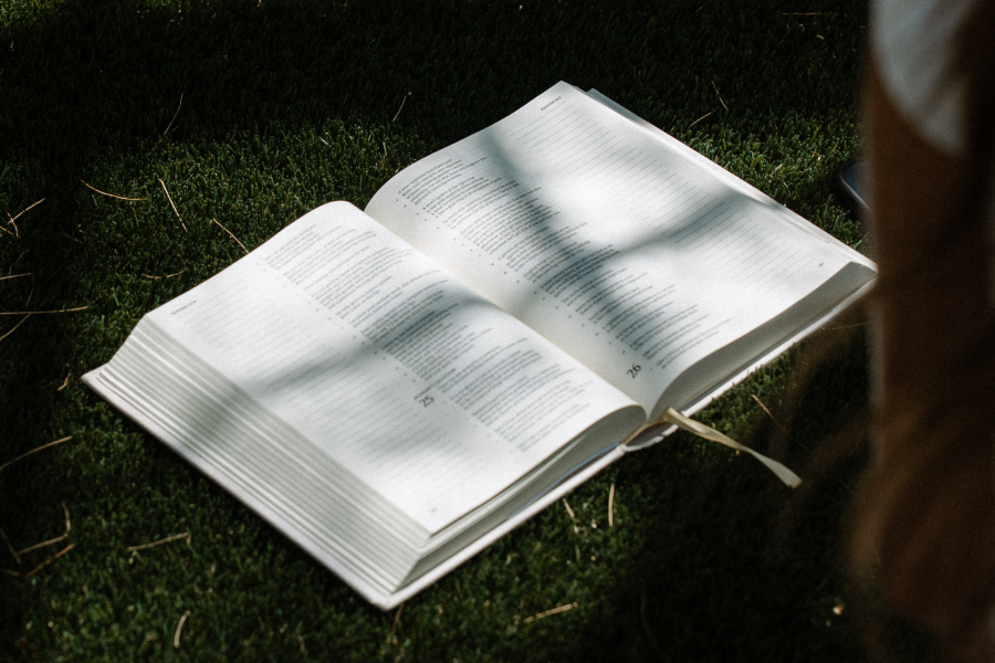 What Does the Bible Say About Envy