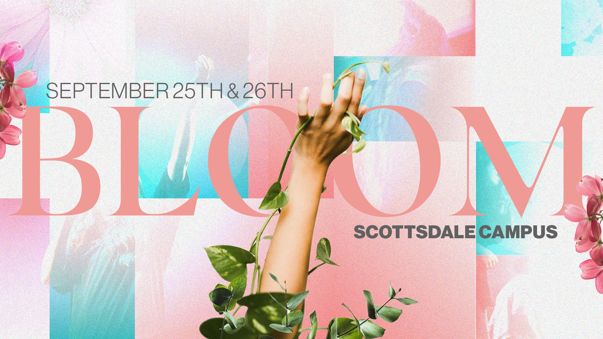 Bloom Conference