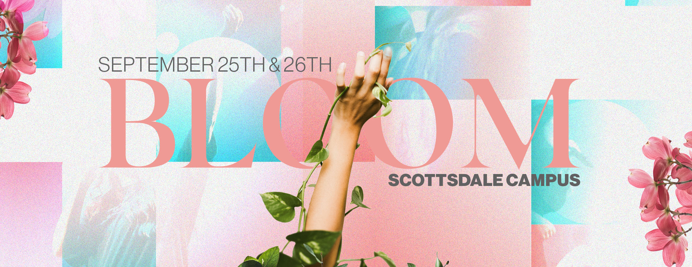 Bloom Conference